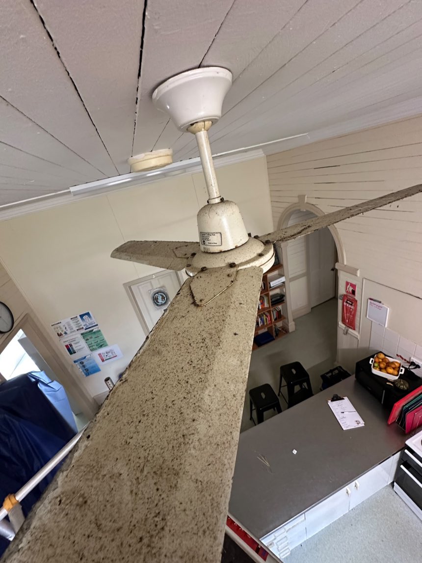 Ceiling fan blades heavily coated in mould growth before remediation