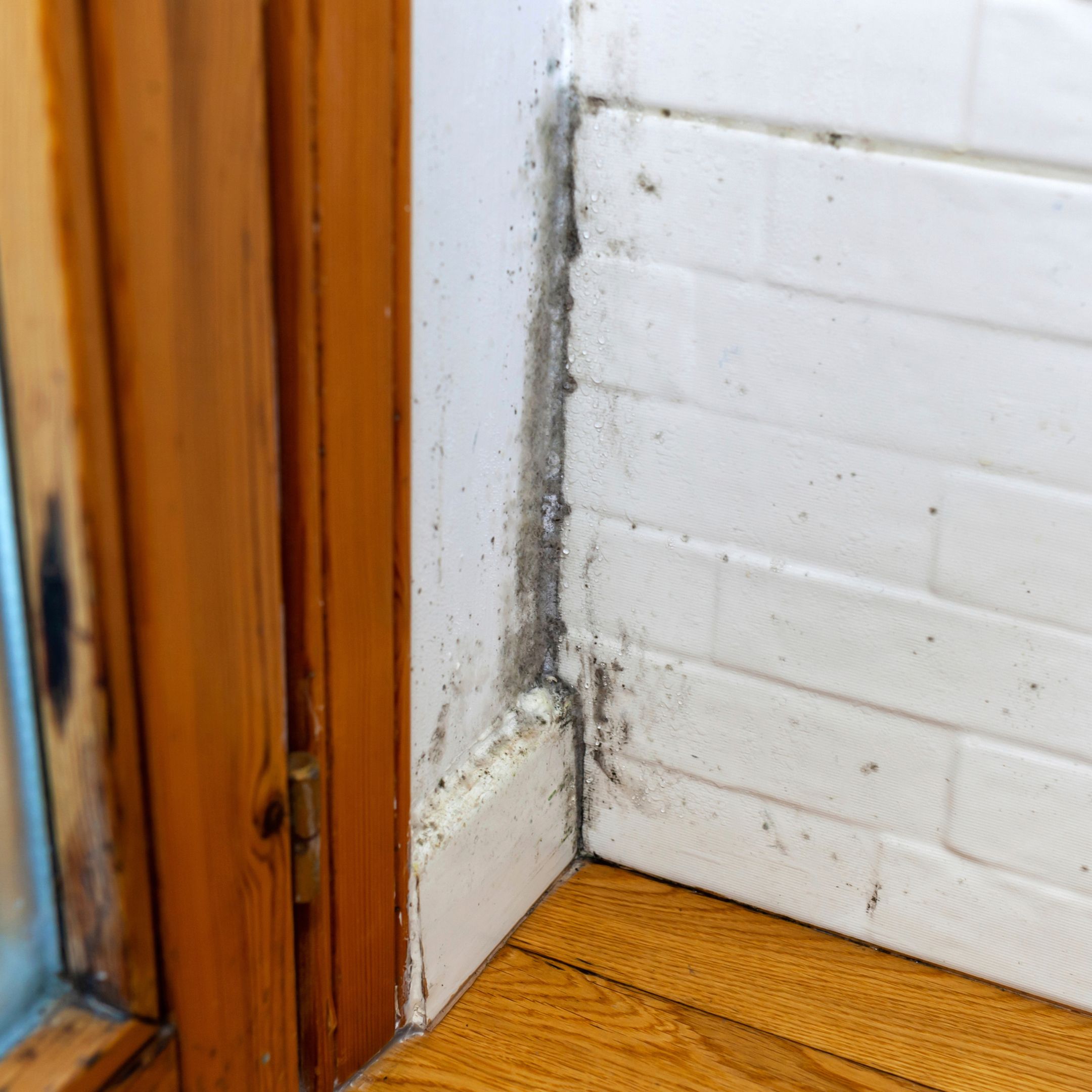 Mould growth in corner near door frame